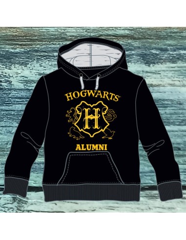 Sudadera Hogwarts