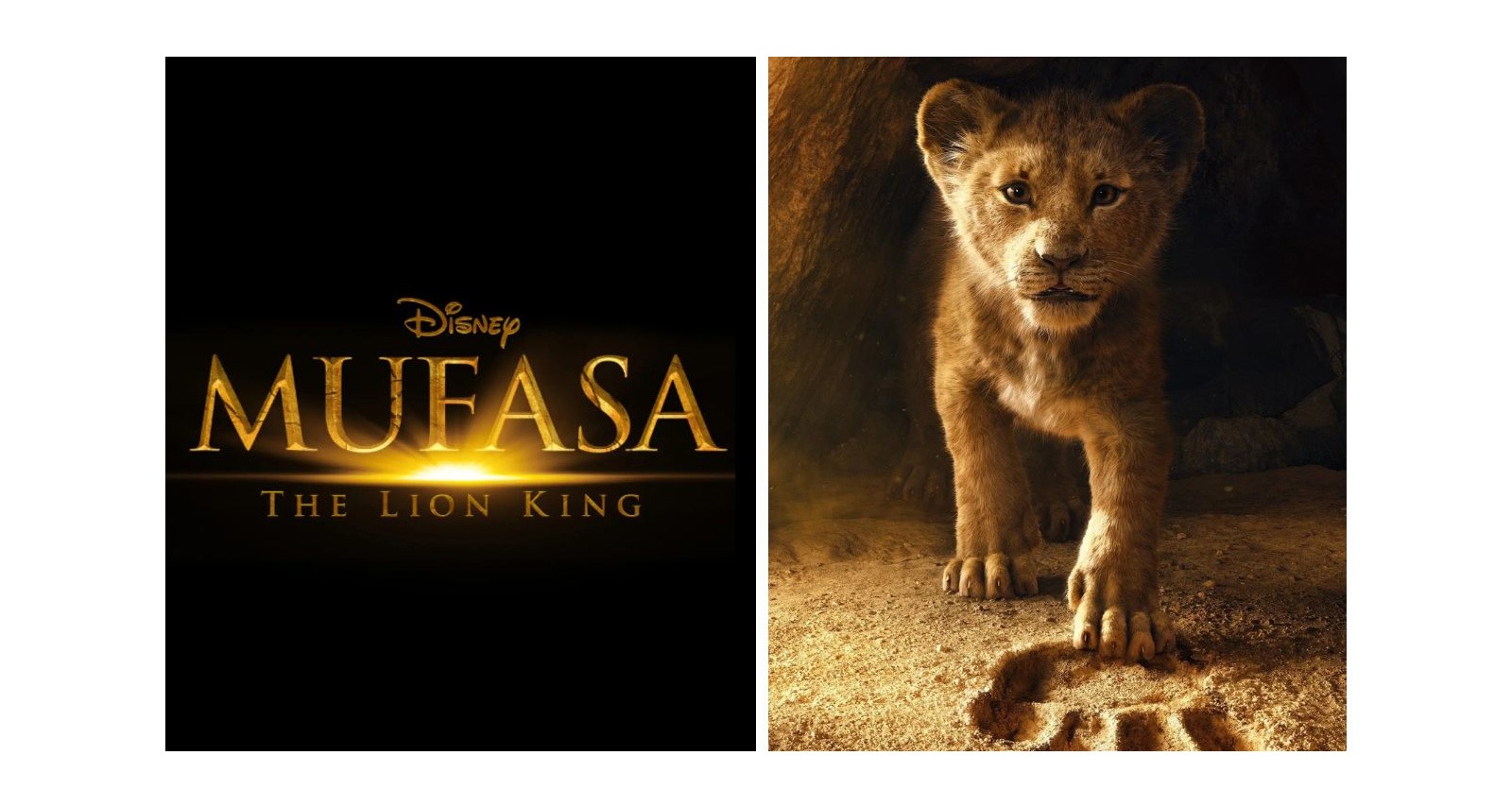 ¡El Rey León: La Saga que Ruge con Fuerza Eterna! Mufasa✨